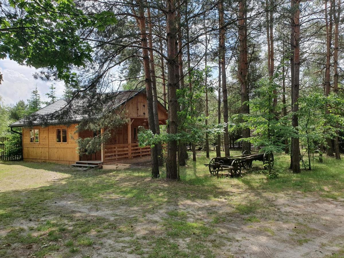 Vila Roztocze U Aleksa Susiec - Jacuzii , Goraca Balia!!! Exteriér fotografie