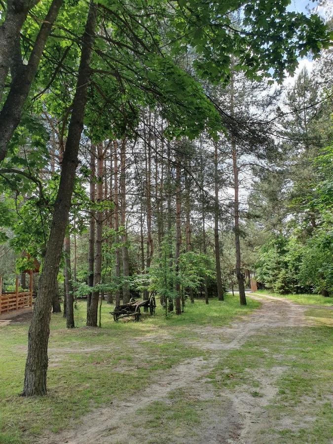 Vila Roztocze U Aleksa Susiec - Jacuzii , Goraca Balia!!! Exteriér fotografie