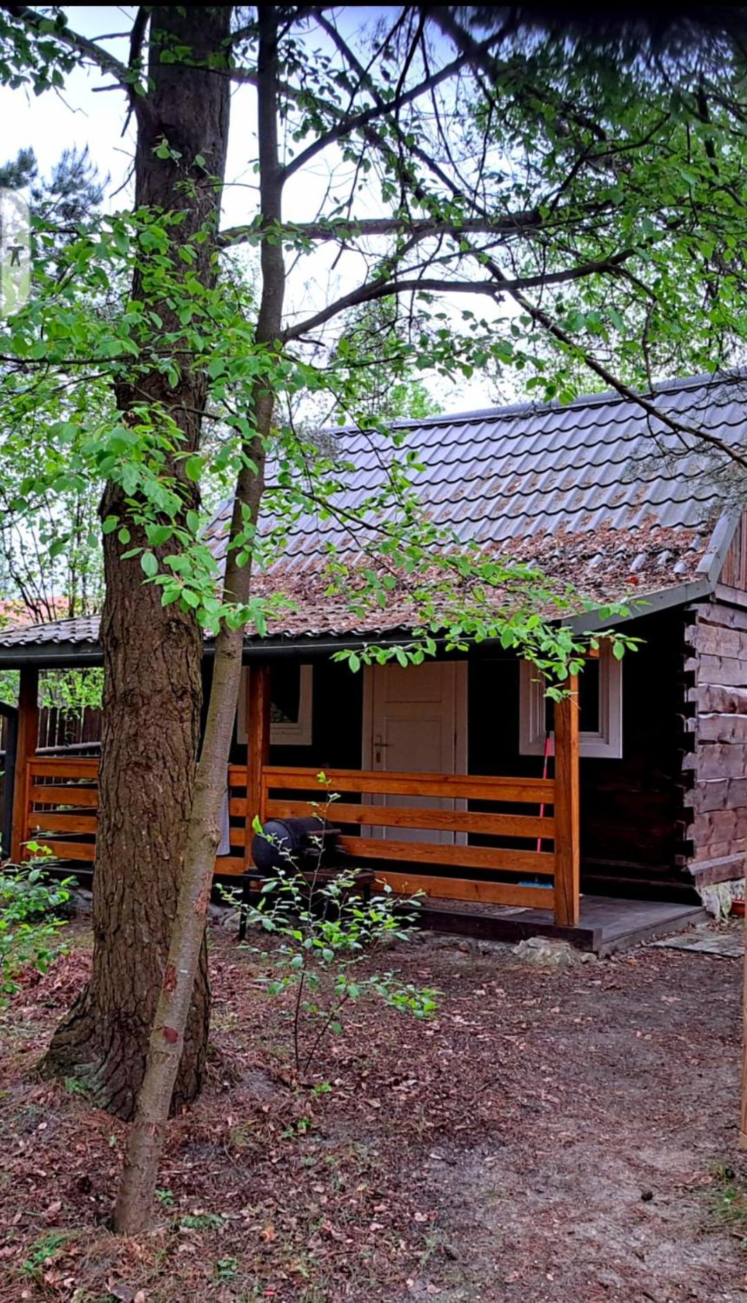 Vila Roztocze U Aleksa Susiec - Jacuzii , Goraca Balia!!! Exteriér fotografie